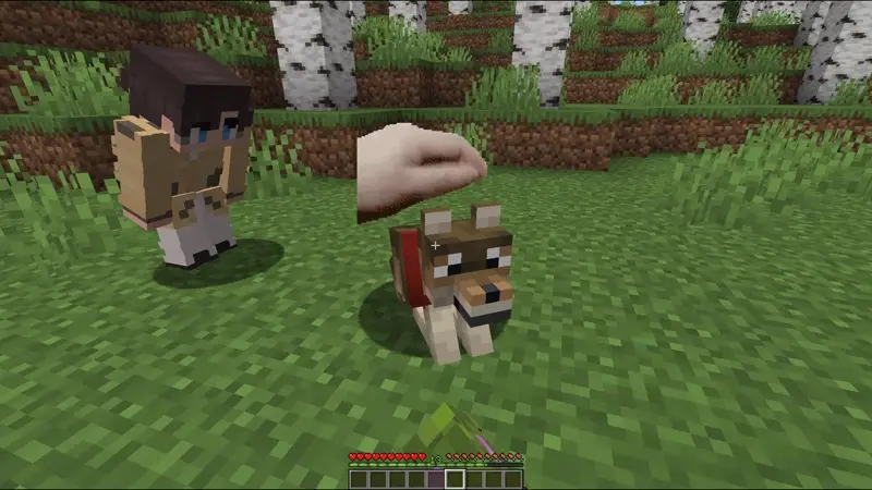 PatPat в действии